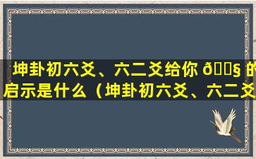 坤卦初六爻、六二爻给你 🐧 的启示是什么（坤卦初六爻、六二爻给你的启示 🌴 是什么）